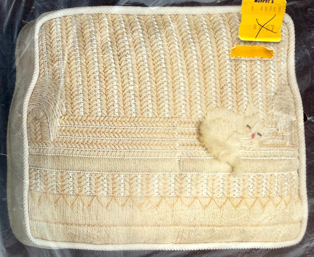 Bucilla Needlepoint Pillow Kit Cozy Kitten 4299 Cushion Cat Vintage NOS Sealed